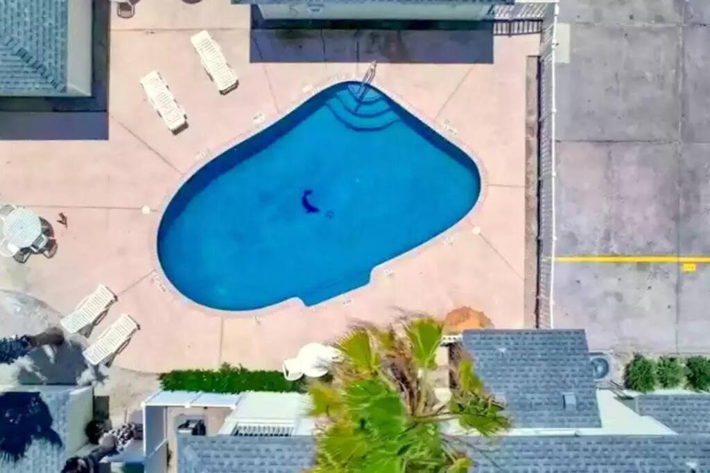 Spacious Home, Short Walk To Beach, Heated Pool! Corpus Christi Exterior photo